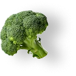 Broc