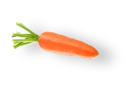 Carrot