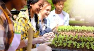 Shutterstock 2307158389