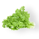 Practical Activities