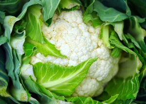 Cauliflower 3