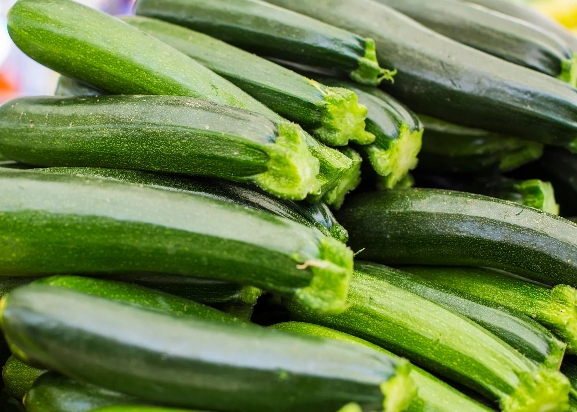 Zucchini 1