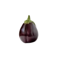 Eggplant