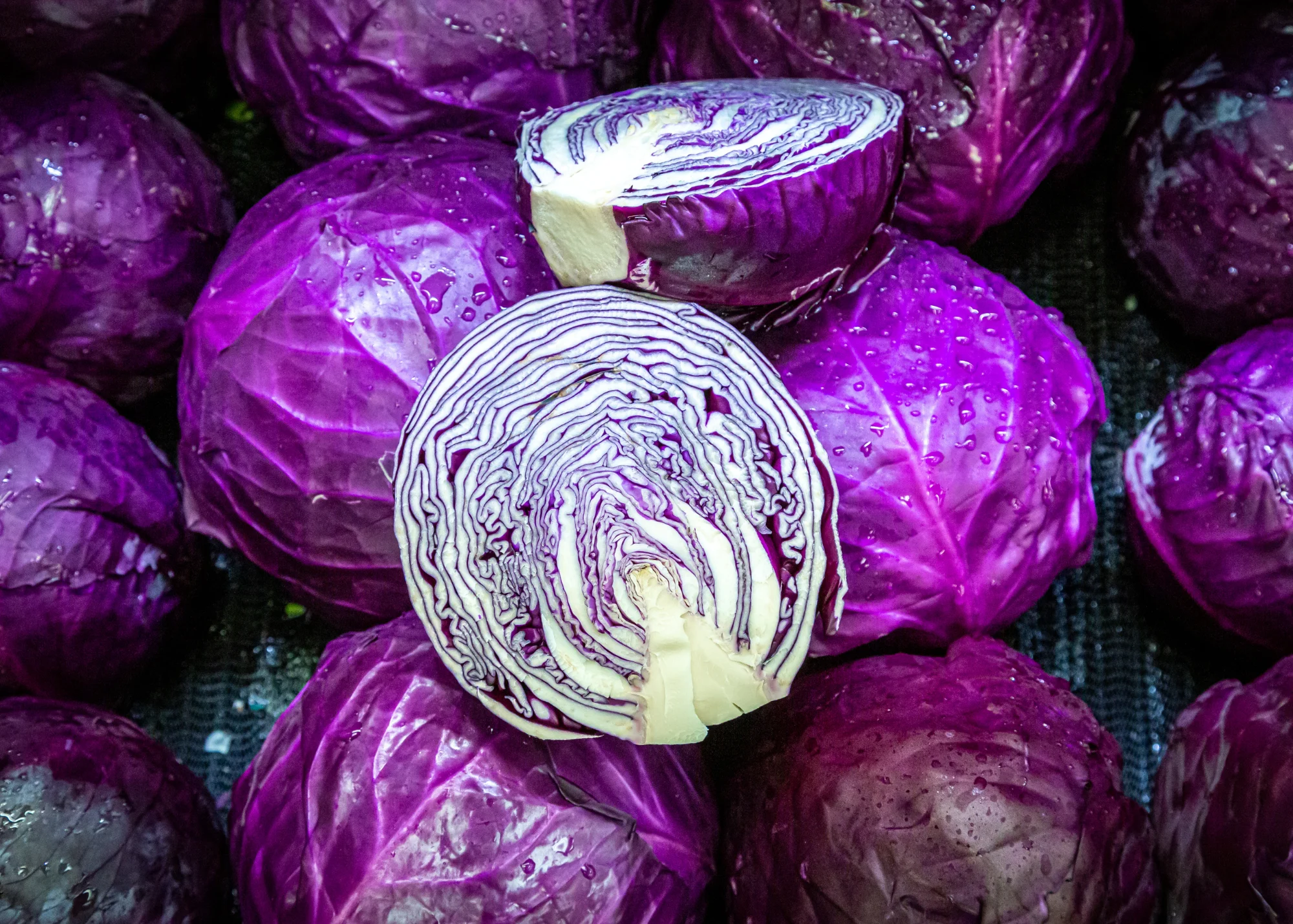 Cabbage