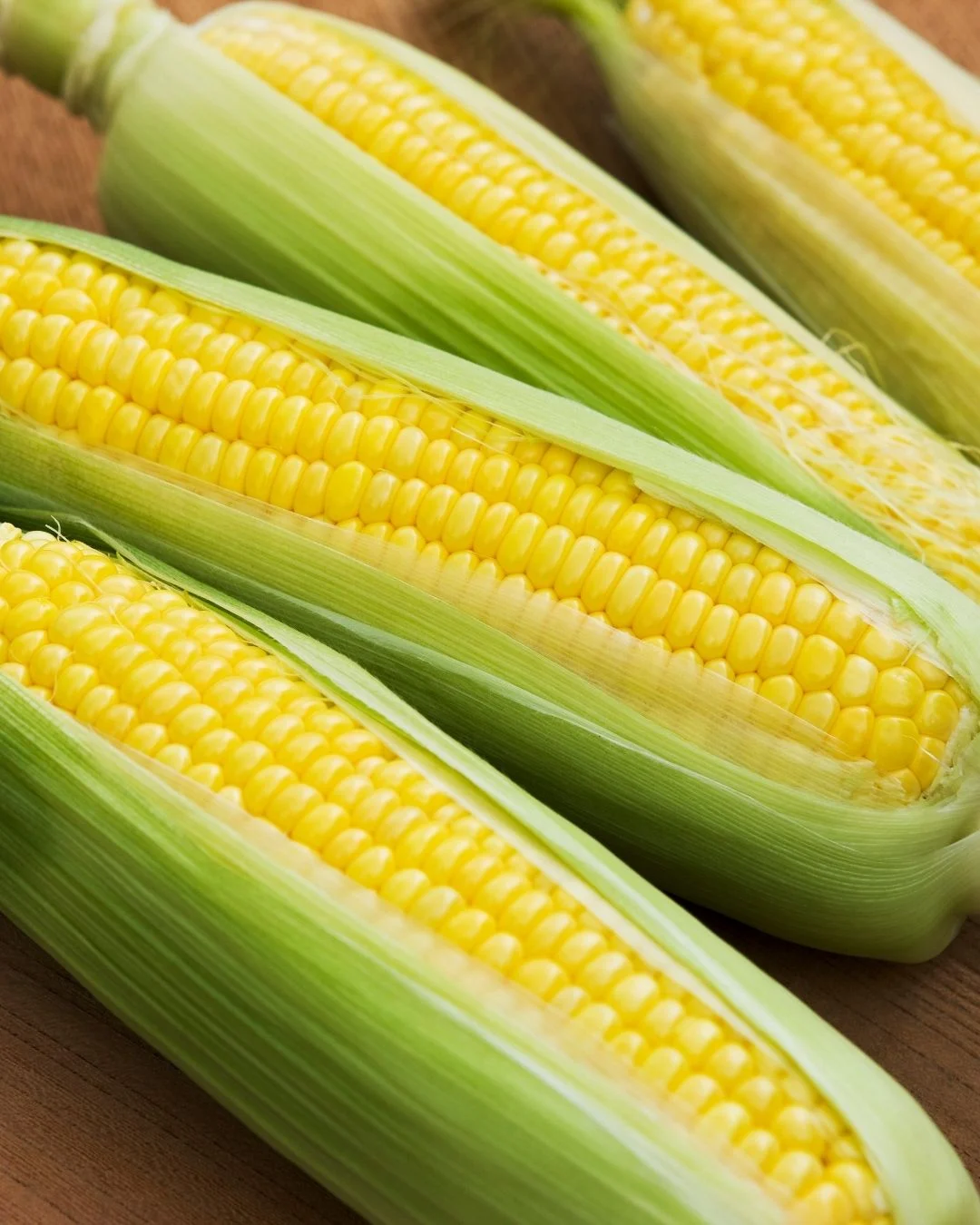 Media Hype Feature Image