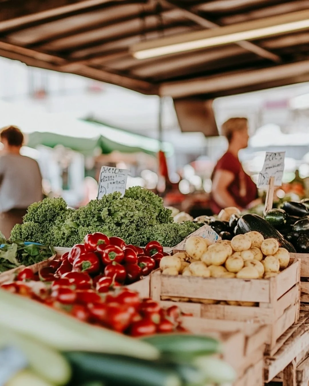Vegetable Trade Feature Image